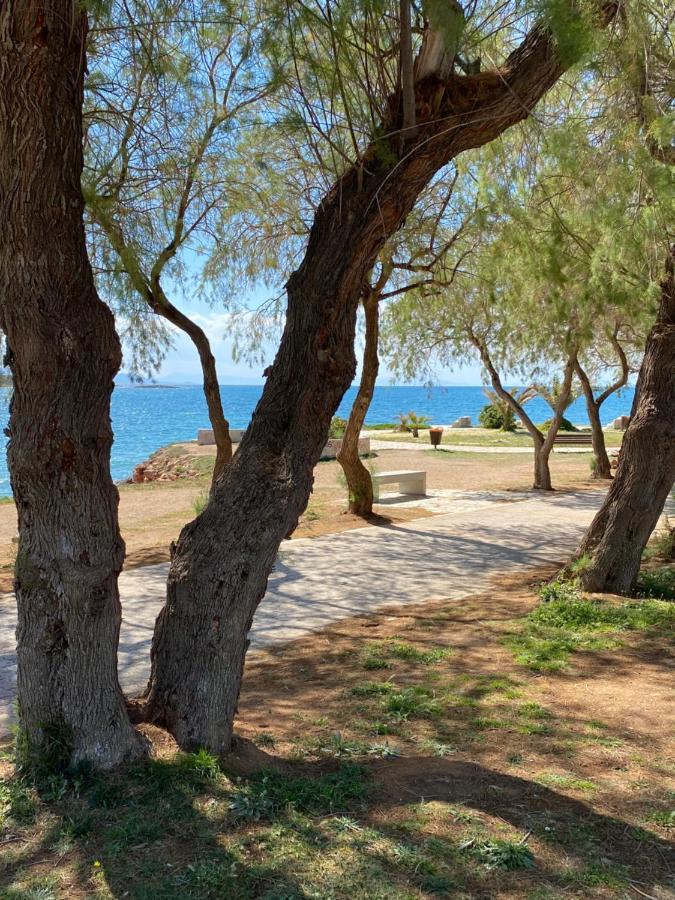 Athens-Riviera Luxury Apartment Sea View Voula Atenas Exterior foto